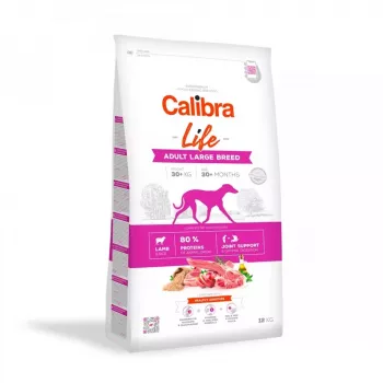 Sausas šunų ėdalas Calibra Life Adult Large Breed ėriena 12 kg