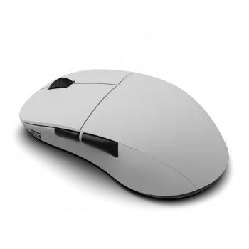 Pelytė Endgame Gear XM2w 4k Wireless
