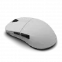 Pelytė Endgame Gear XM2w 4k Wireless
