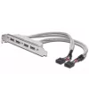 USB 2.0 lizdo laikiklio kabelis 2xIDC (5 kontaktų) / 4xUSB A (vyriškas/moteriškas) pilkas 0,25 m