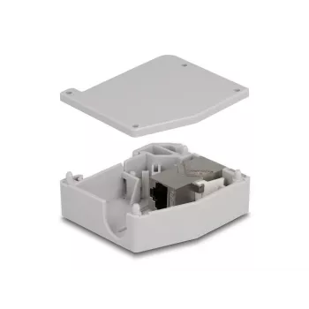 DeLOCK DIN bėgelio adapteris RJ45 lizdas – RJ45 lizdas Cat.6A pilka