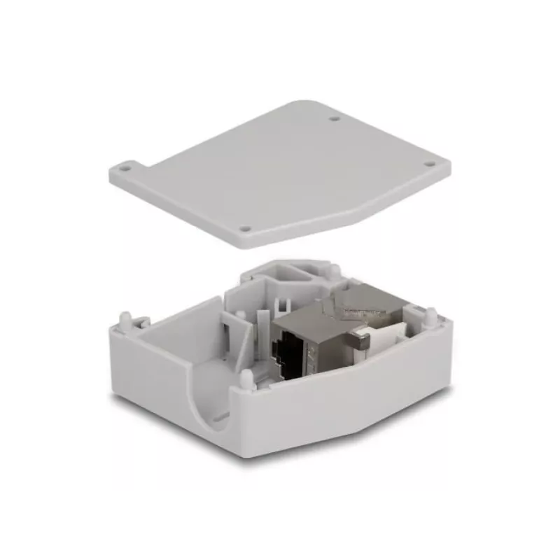 DeLOCK DIN bėgelio adapteris RJ45 lizdas – RJ45 lizdas Cat.6A pilka