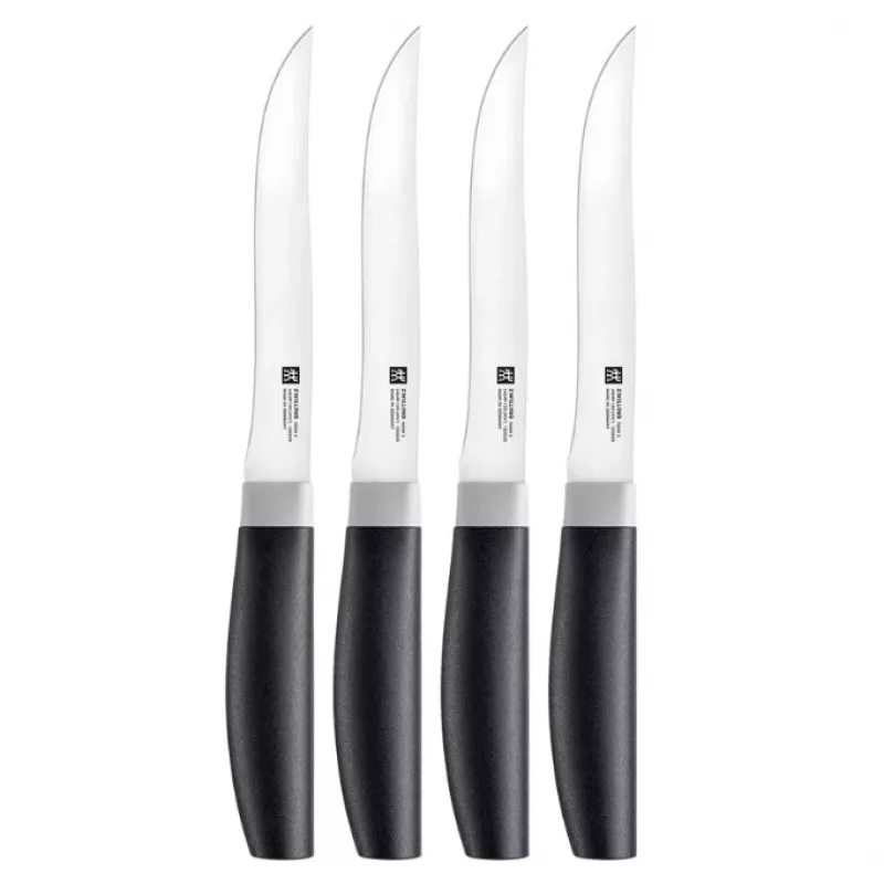 Virtuvinis peilis ZWILLING NOW S 54549-004-0