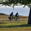 Thule 5405 Shield dviračio krepšiai 25L pora geltoni