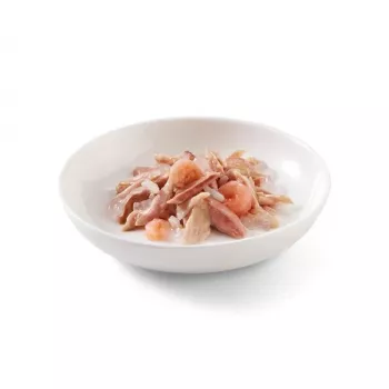 SCHESIR in jelly Tuna su krevetėmis - šlapias kačių ėdalas - 85 g