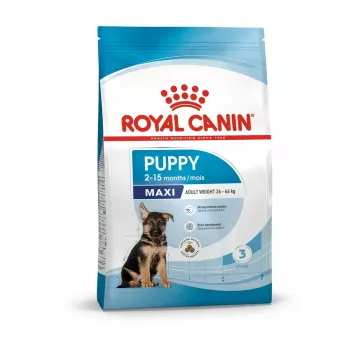 Sausas šunų ėdalas Royal Canin Maxi Puppy 15 kg – didelių veislių šuniukams, vištiena, 30% baltymų, 16% riebalų