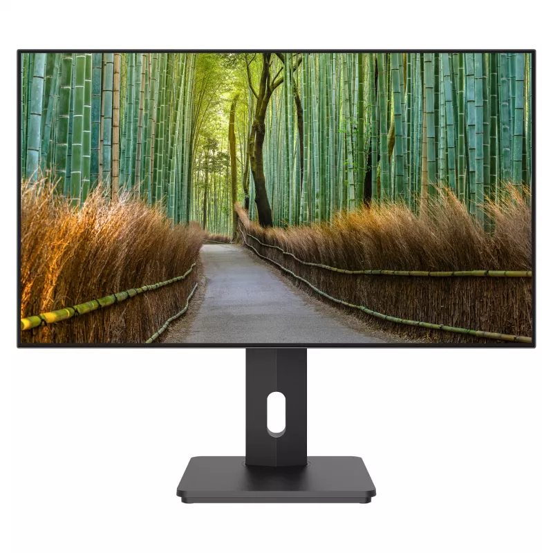 JAPANNEXT JN-27IPS4FLWQHDR-HSP 27 colių WQHD IPS monitorius
