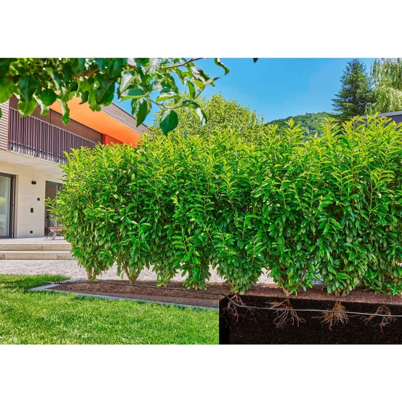 Gardena 13504-20 laistymo žarna 50 m po žeme Juoda