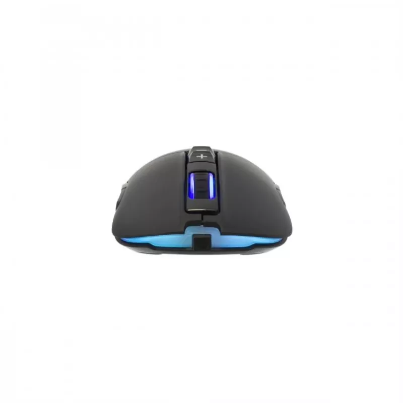Pelė White Shark ARTHUR USB Type-A