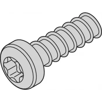 SCHROFF SCREW TORX 2.5X7.3 (100 VNT.) - Rack-Aksesuaras (24560157)