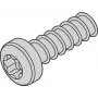 SCHROFF SCREW TORX 2.5X7.3 (100 VNT.) - Rack-Aksesuaras (24560157)