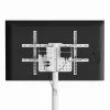 Grindinis TV stovas GEMBIRD TVS-86TR-01-W baltas, 37–86 colių, pasukamas ir pakreipiamas, VESA 200x200–600x400, maks. 50 kg