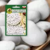Sėklų pakuotė Seklos LT PNOS — pupelės 'Igłomska' sėklos, 50 g