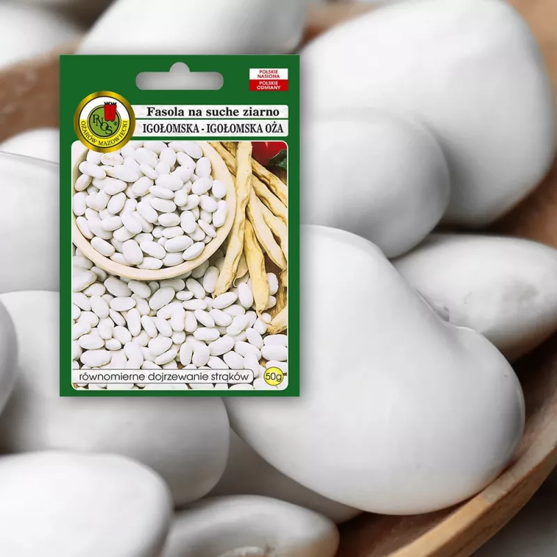 Sėklų pakuotė Seklos LT PNOS — pupelės 'Igłomska' sėklos, 50 g