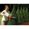 Krūmapjovė Black & Decker GSL300 dviguba geležtė 600g baterija 3,6V