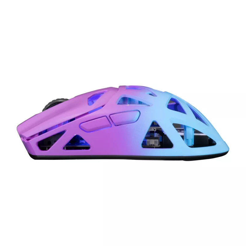 Belaidė pelė White Shark GM-5019 Dagonet