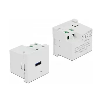 Kištukinis lizdas su USB-A DELOCK 81311, baltas, 100–240 V, 0,5 A, LED indikatorius, plastikinis korpusas
