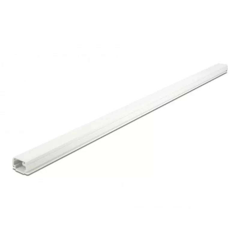 Kabelių kanalas PVC 22 mm baltas DeLOCK 20720