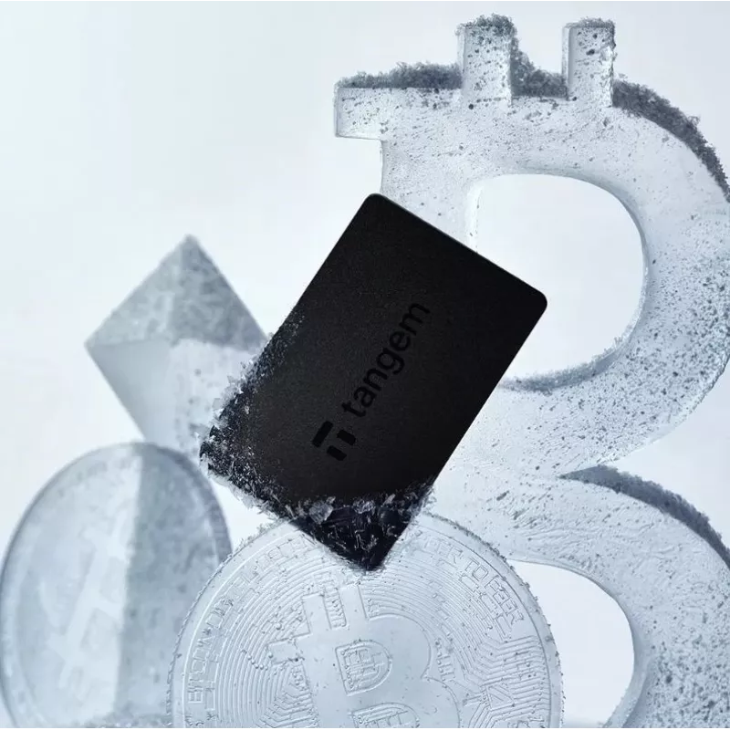 Tangem Wallet kriptovaliutų piniginė – 2 kortelės