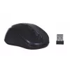 Extreme XM104K pelė USB Type-A Optinė 1000 DPI Dešiniajai rankai