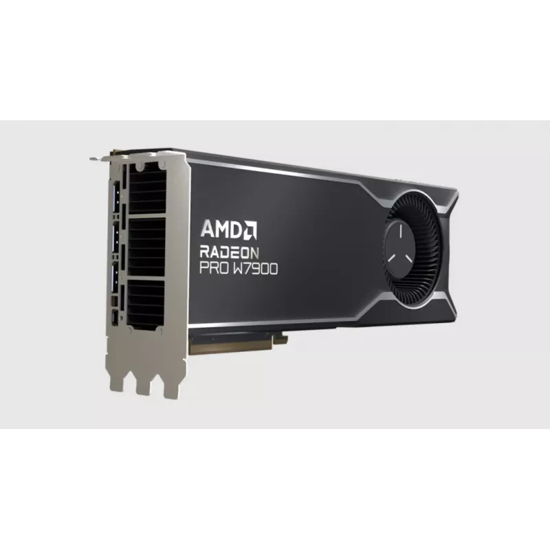 Vaizdo plokštė AMD Radeon PRO W7900 48 GB GDDR6