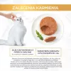 Šlapio maisto kačių multipakas Purina Nestlé Gourmet Gold Mus Mix 48×85 g skirtingų skonių