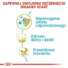 Sausas šunų ėdalas Royal Canin Golden Retriever Junior 12 kg – paukštiena, 29% baltymų, 16% riebalų
