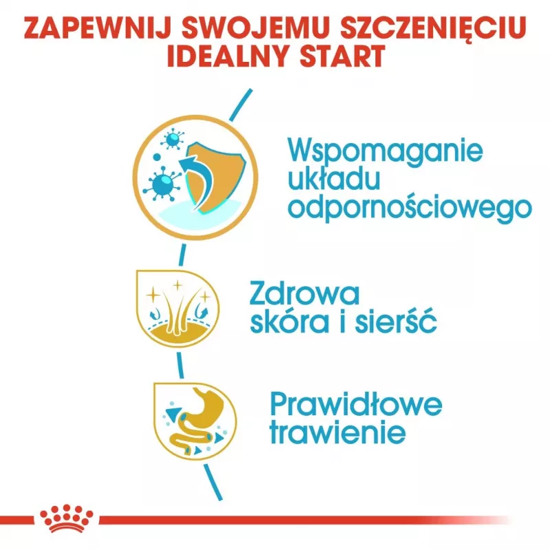 Sausas šunų ėdalas Royal Canin Golden Retriever Junior 12 kg – paukštiena, 29% baltymų, 16% riebalų