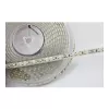 Synergy 21 LED juostelė Flex Strip 3528 - 120 KW DC24V 48W IP68