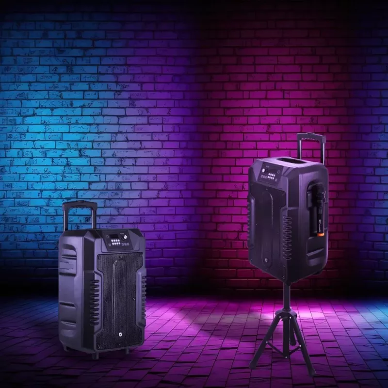 Garsiakalbiai Manta SPK1203B100 100W