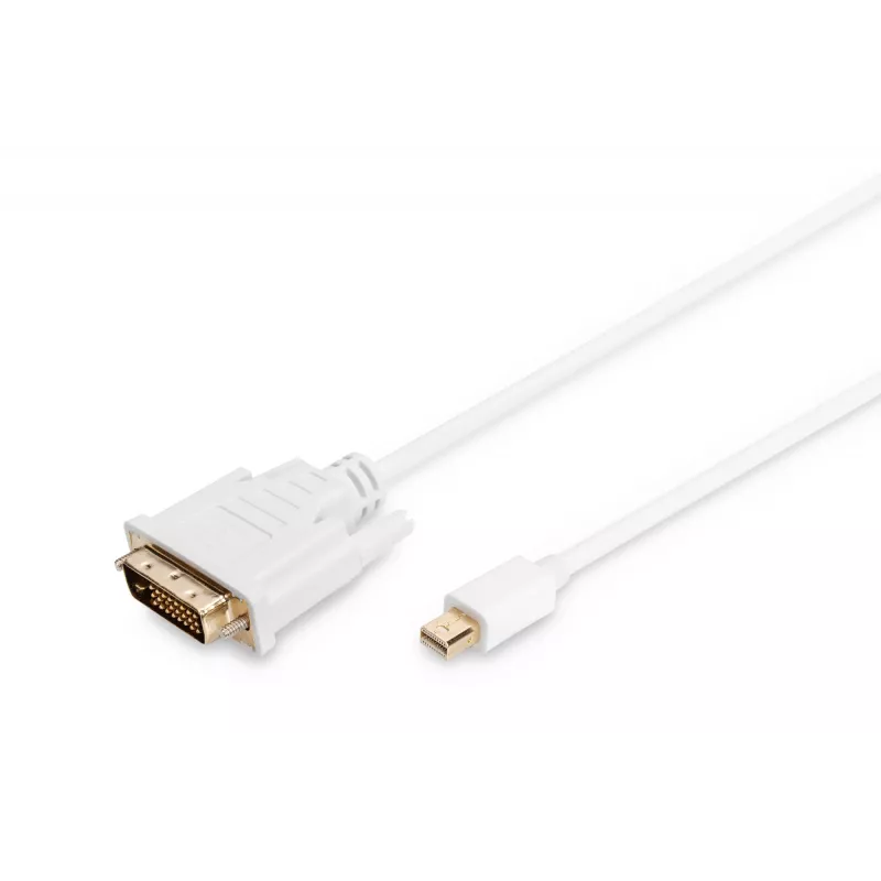 Kabelis DisplayPort 1.1a mini DP-DVI tipas MM 2,0 m