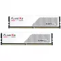 G.Skill F5-6000J3036F48GX2-FX5W atminties modulis 96 GB (2 x 48 GB) DDR5 6000 MHz