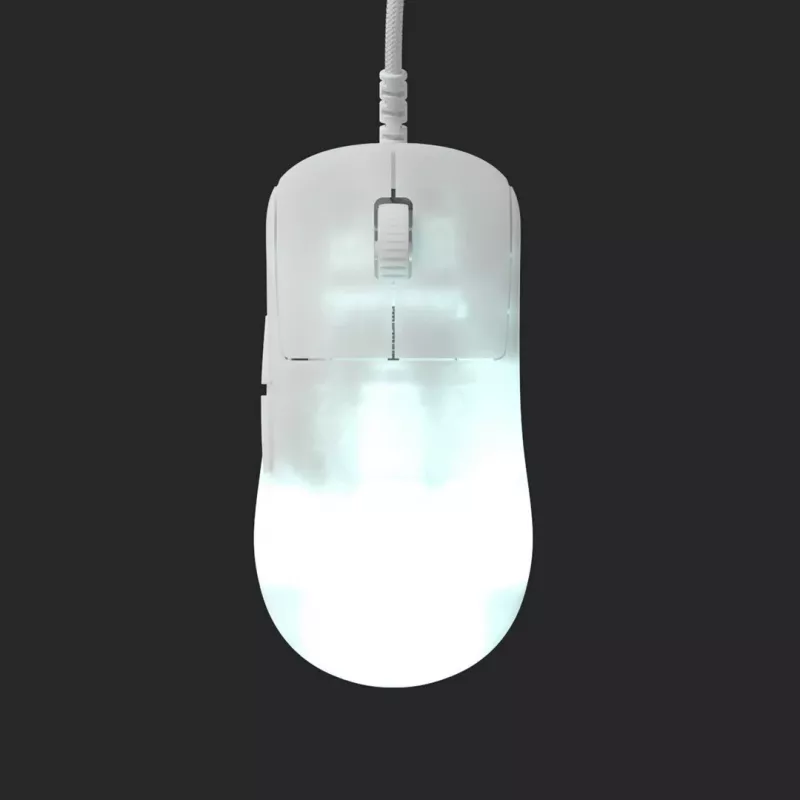 Endgame Gear OP1 RGB pelė žaidimams, dešinei rankai, USB Type-A, optinė, 26000 DPI