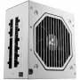 Sharkoon Rebel P20 maitinimo blokas 1000 W 24-pin ATX ATX Baltas