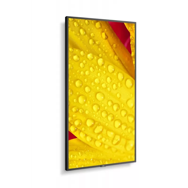 NEC MultiSync M651-2 Kiosk dizainas 165.1 cm (65 colių) LED 500 cd/m² 4K Ultra HD Juoda Įmontuotas procesorius