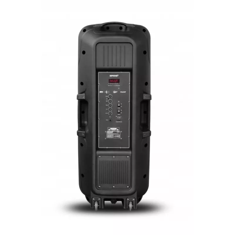 Nešiojamas garsiakalbis APA24 Bluetooth karaoke, juodas