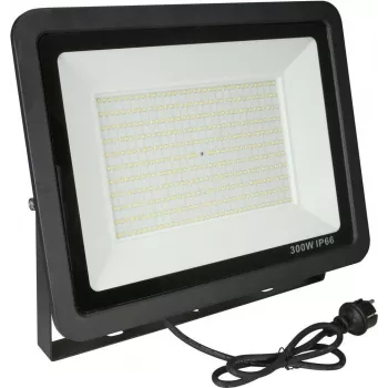 LED prožektorius EUROLITE FL-300 SMD CW 30W IP65