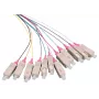 LOGON LFP035 InfiniBand / šviesolaidinis kabelis 2 m 12x SC įvairiaspalvis (LFP035)