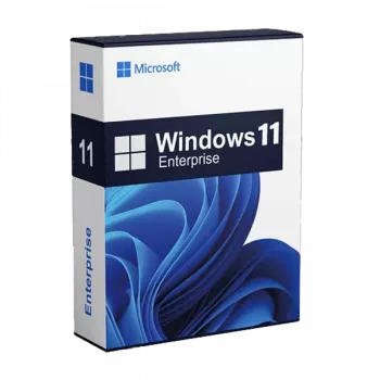 Windows 11 Enterprise (licencija)