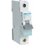Automatinis jungiklis Hager MBN150, 1P, 50 A