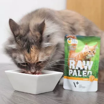 Šlapias kačių ėdalas VETEXPERT Raw Paleo Adult Cat Turkey 100 g – be grūdų