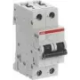 Automatinis jungiklis ABB STOTZ-KONTAKT 10kA 6A B 2p S202M-B6UC (2CDS272061R0065)