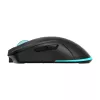 Pelė Baracuda BGM-121 Turtle Black USB