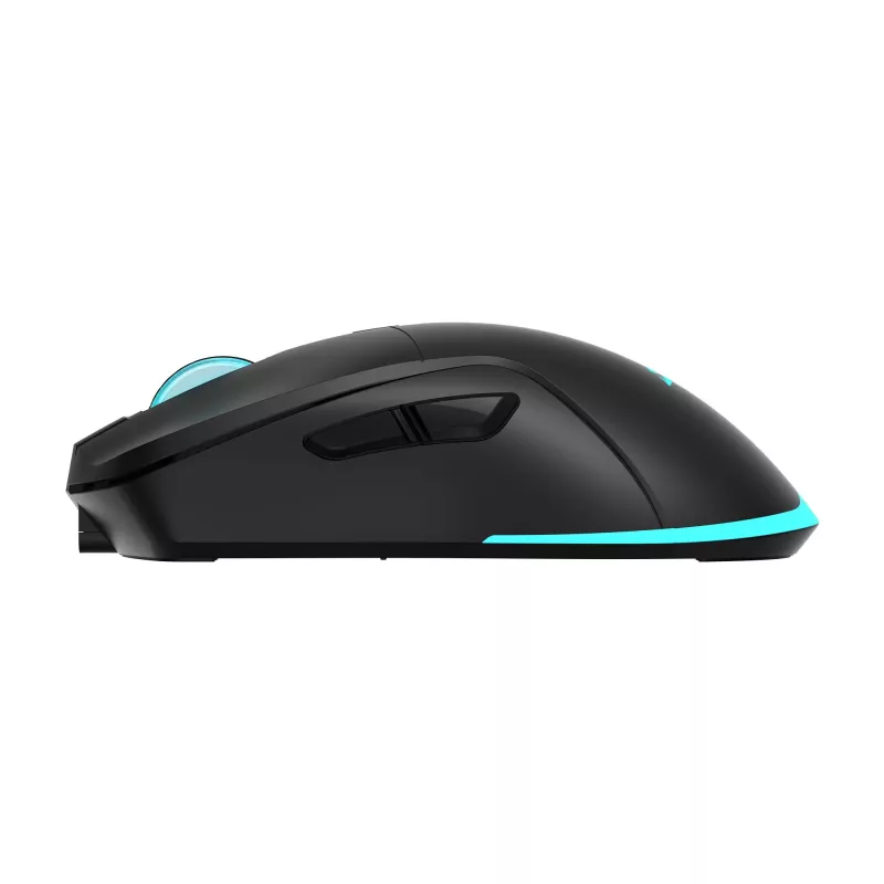 Pelė Baracuda BGM-121 Turtle Black USB