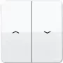 JUNG svirties jungiklis Jal.Sch./mygtukas CD595PWW CD500 Alpine White (CD595PWW)