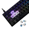 Mechaninė klaviatūra White Shark Shinobi-2 mėlyni jungikliai juoda JAV išdėstymas