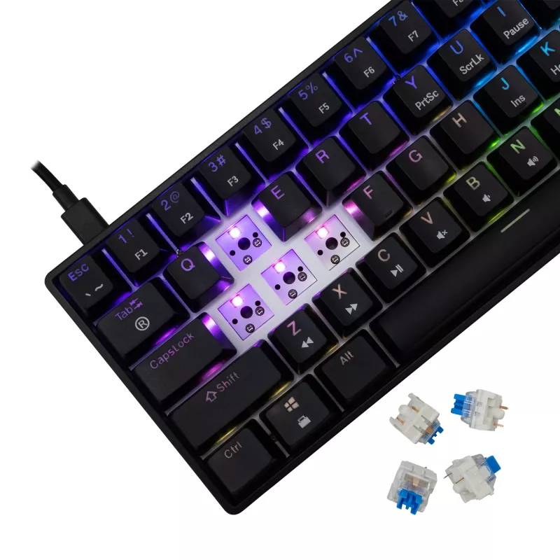 Mechaninė klaviatūra White Shark Shinobi-2 mėlyni jungikliai juoda JAV išdėstymas