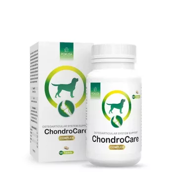POKUSA ChondroCare Complex – papildai šunims – 120 vnt.