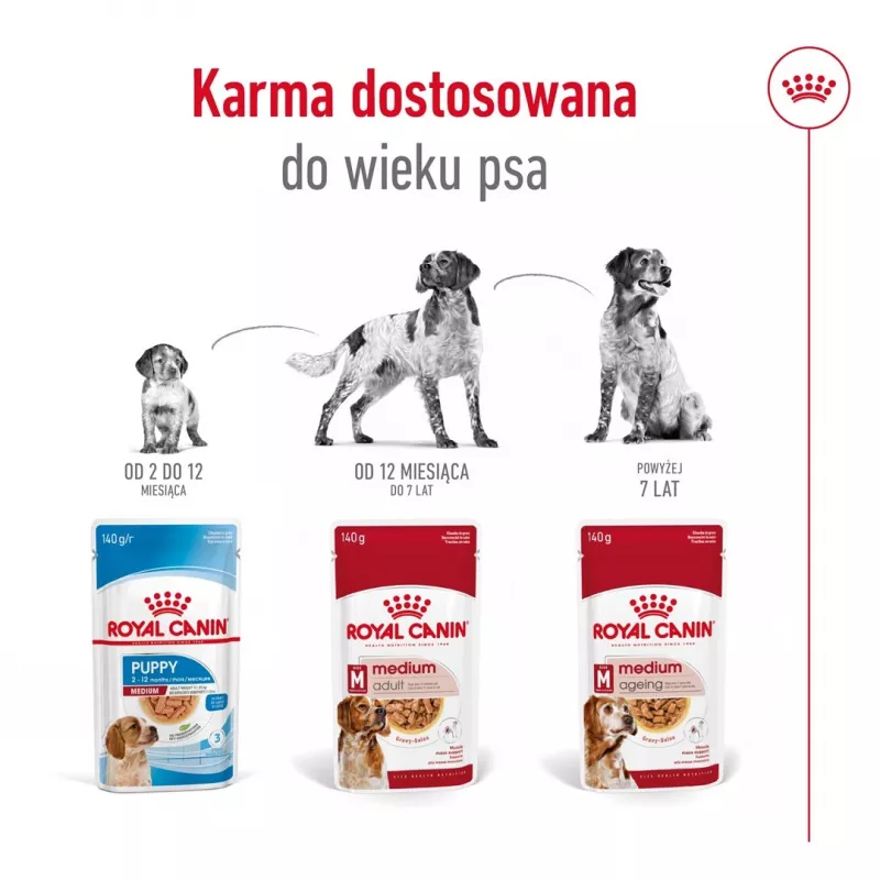 ROYAL CANIN SHN Medium Adult padaže – šlapias ėdalas suaugusiems vidutinių veislių šunims – 10x140g