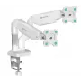ONKRON G160-W sukamas ir palenkiamas stalo laikiklis dviem 13-32 colių monitoriams, iki 8 kg, baltos spalvos